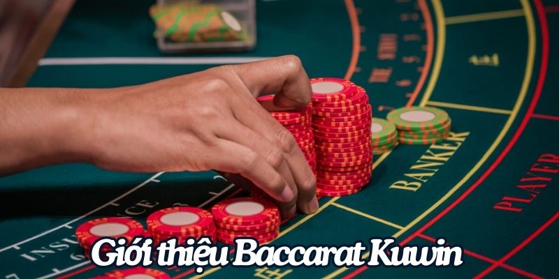 Game Baccarat Kuwin đứng top 1 hiện nay